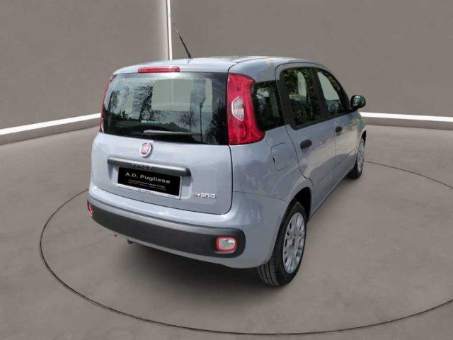 FIAT Panda 3ª serie - 1.0 FireFly S&S Hybrid