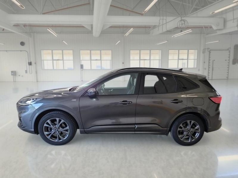 FORD KUGA 2.0 EcoBlue 190CV AWD ST-Line X Auto