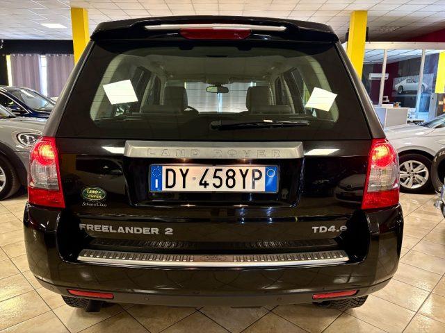 LAND ROVER Freelander 2.2 TD4 Sport Limited Edition DISTRIBUZIONE FATTA