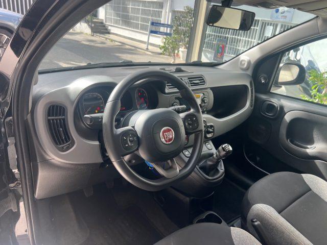 FIAT Panda 1.0 FireFly S&S Hybrid City Life da ?129,00 mensil
