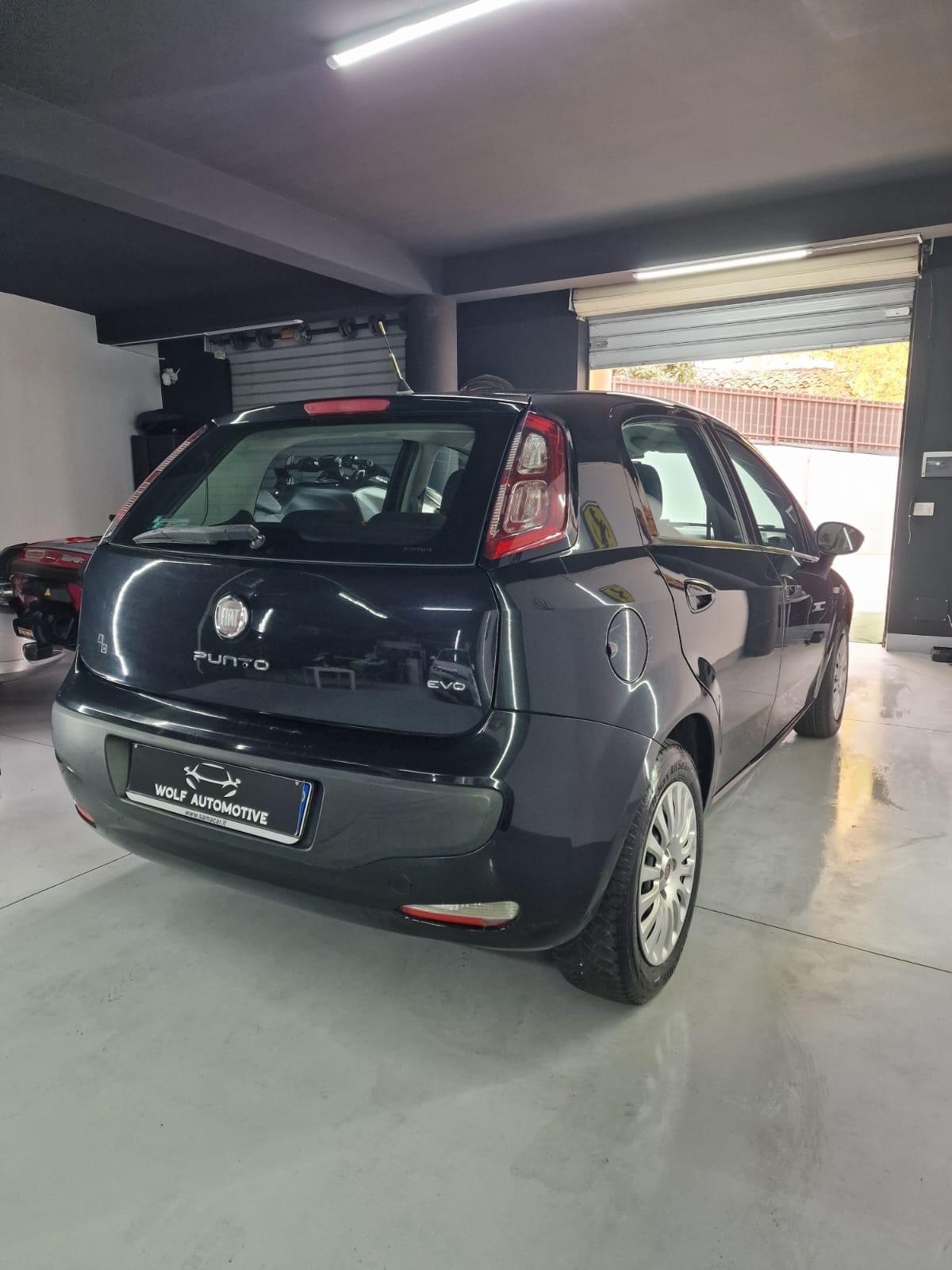 Fiat Punto Evo Punto Evo 1.3 Mjt 95 CV DPF 5 porte S&S Dynamic