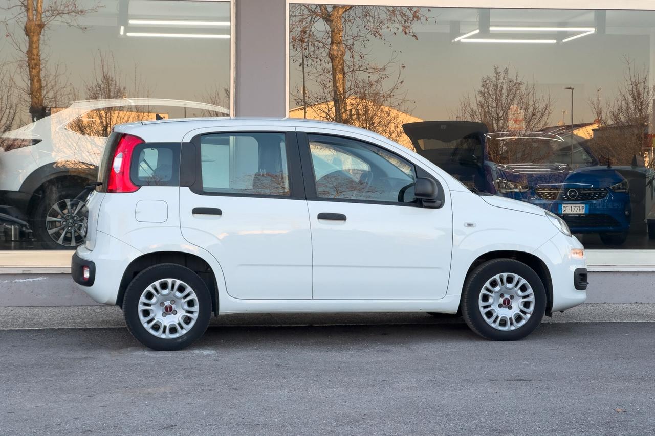 Fiat Panda BENZINA 1.2 69 cv