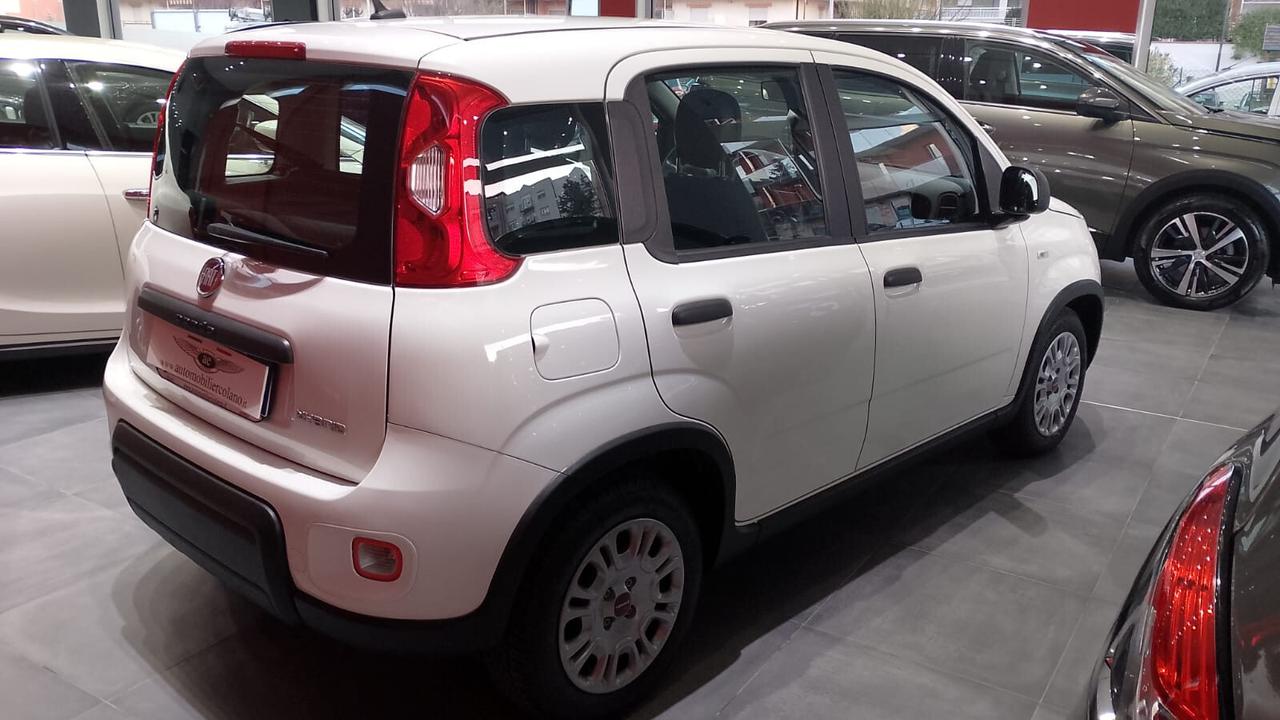 Fiat Panda 1.0 FireFly S&S Hybrid City Life