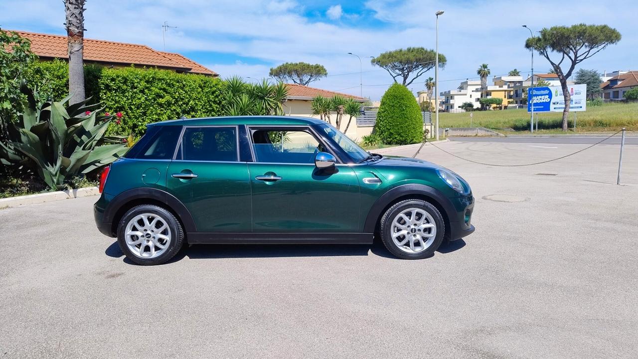 Mini Mini 1.5 One D