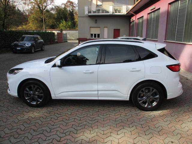FORD Kuga 1.5 EcoBoost 150 CV 2WD ST-Line