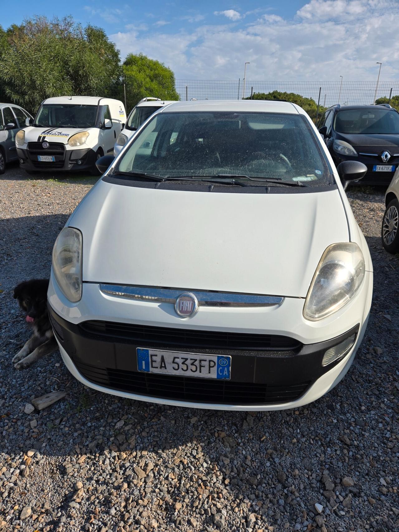 Fiat Punto Evo Punto Evo 1.2 5 porte Active