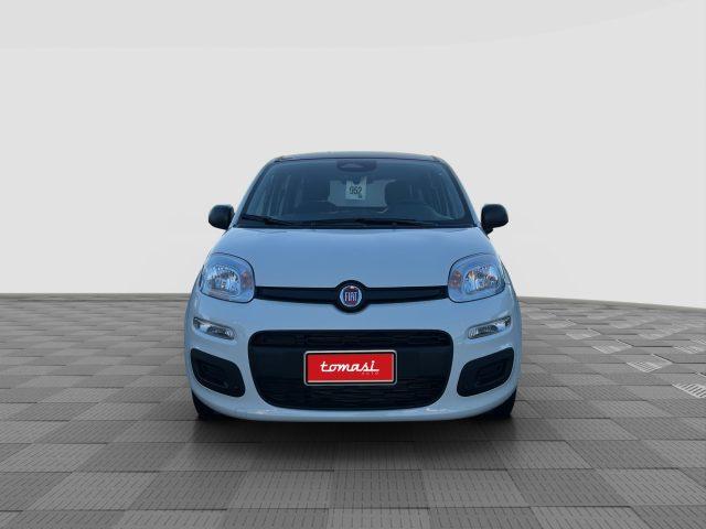 FIAT Panda Pandina 1.0 FireFly 65 CV Hybrid Icon