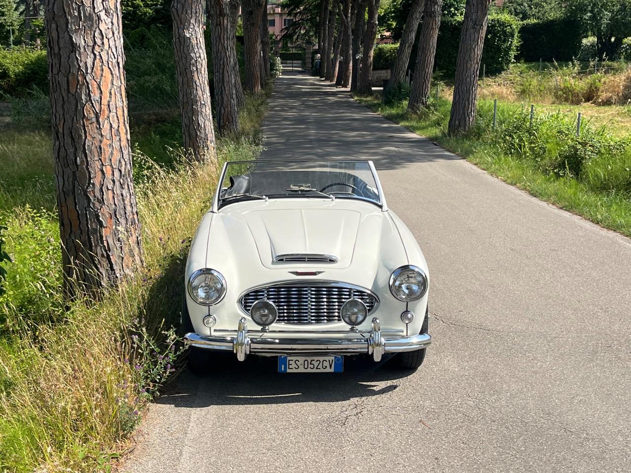Austin Healey 100/6 BN4 2700 ASI