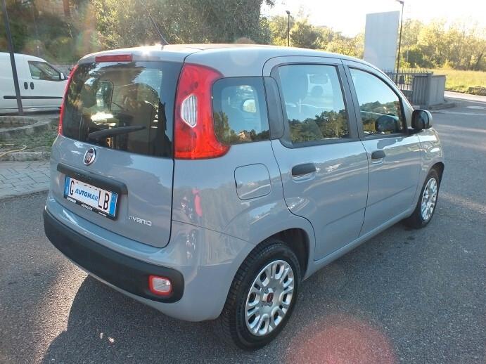 Fiat Panda 1.0 FireFly Hybrid*SOLO 59.000KM*UNIPRO*
