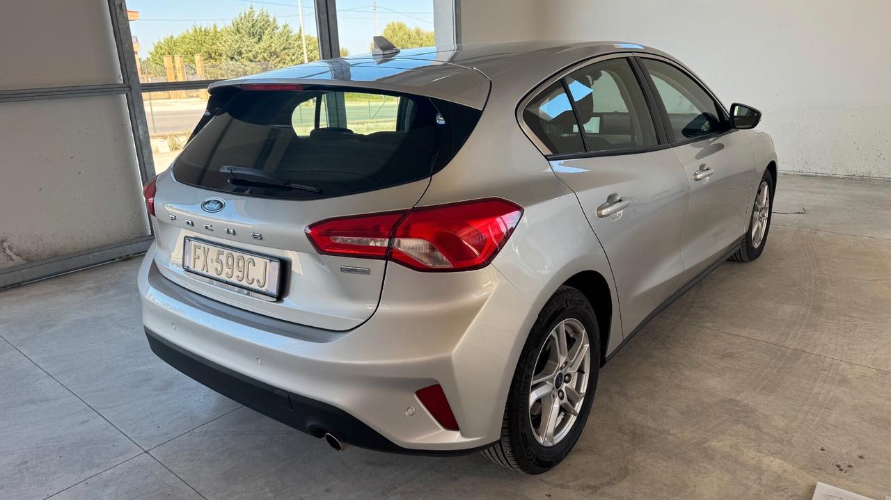 Ford Focus 1.5 EcoBlue 120 CV 5p. Business