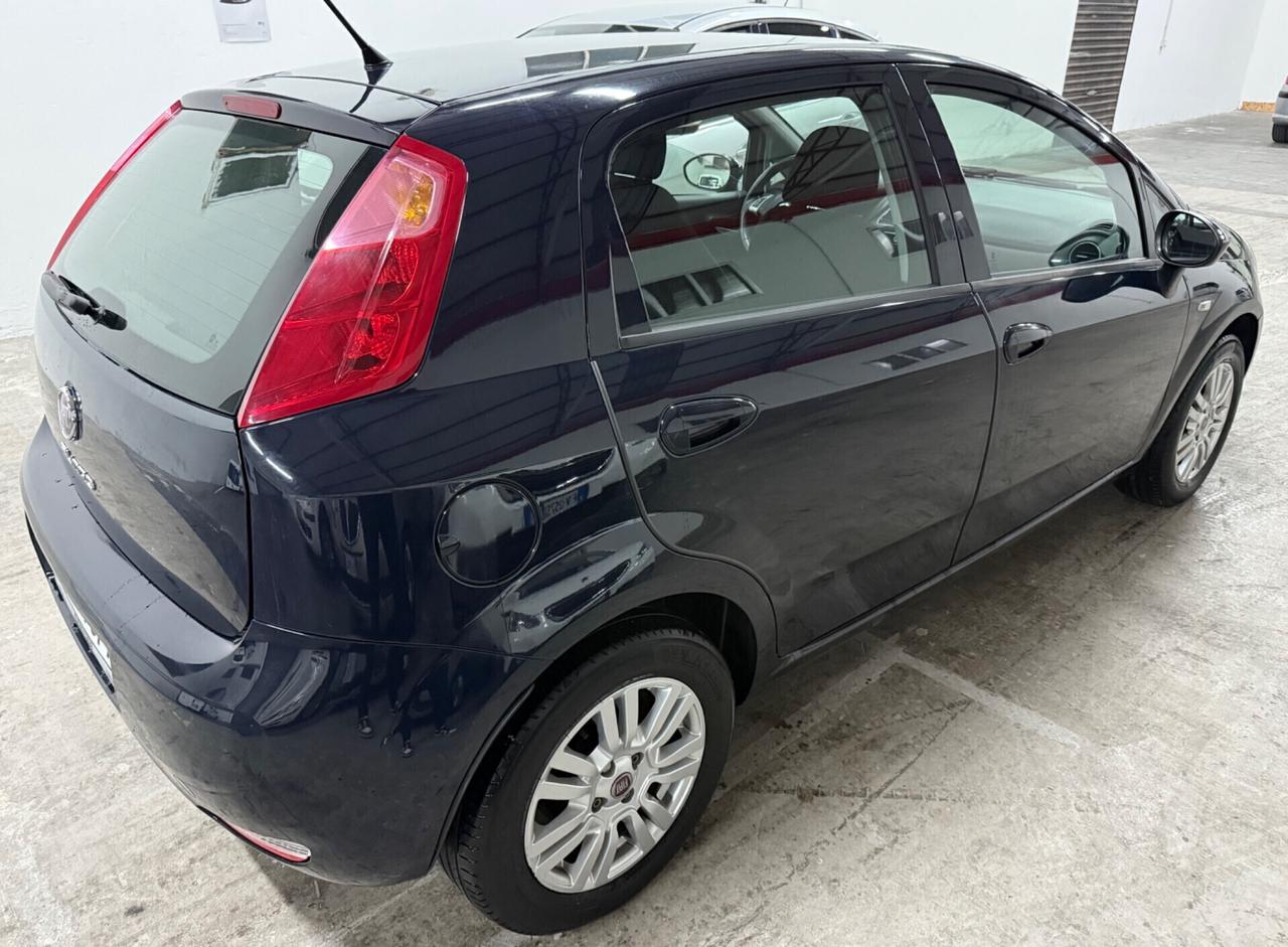 Fiat Punto 1.2 Benzina 69Cv 5 porte Lounge - 2016