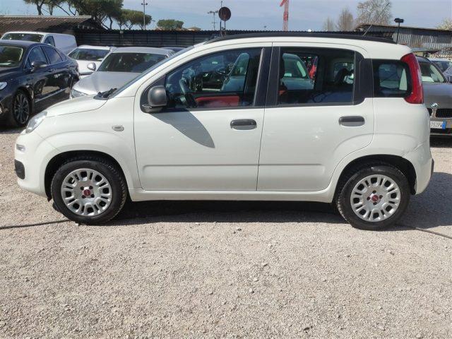 FIAT Panda 1.2 Easy 69cv CLIMA MANUALE OK NEOPATENTATI