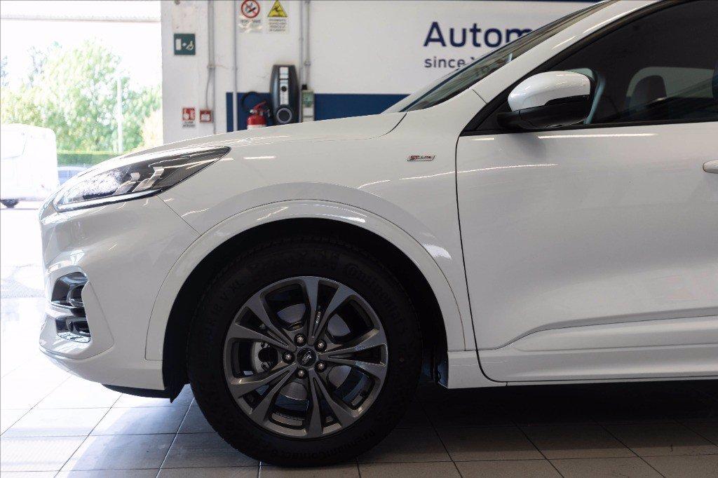 FORD Kuga 1.5 ecoblue ST-Line 2wd 120cv del 2021