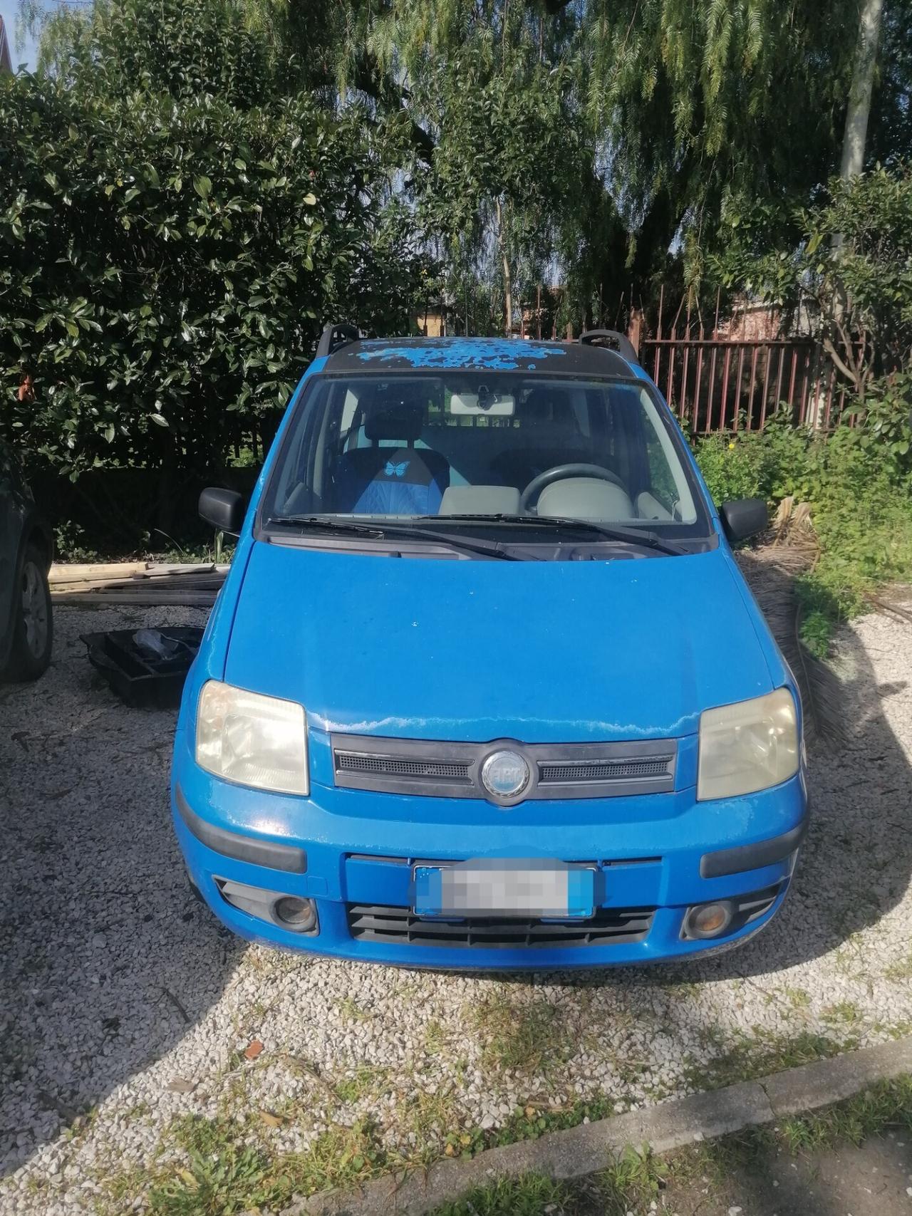 Fiat Panda 1.2 Dynamic motore?