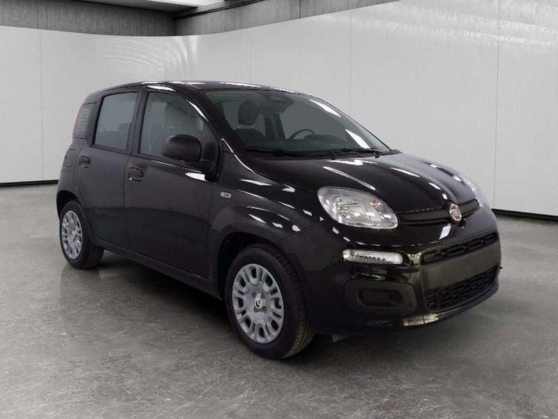 FIAT Pandina 1.0 firefly hybrid Icon s&s 70cv 5p.ti