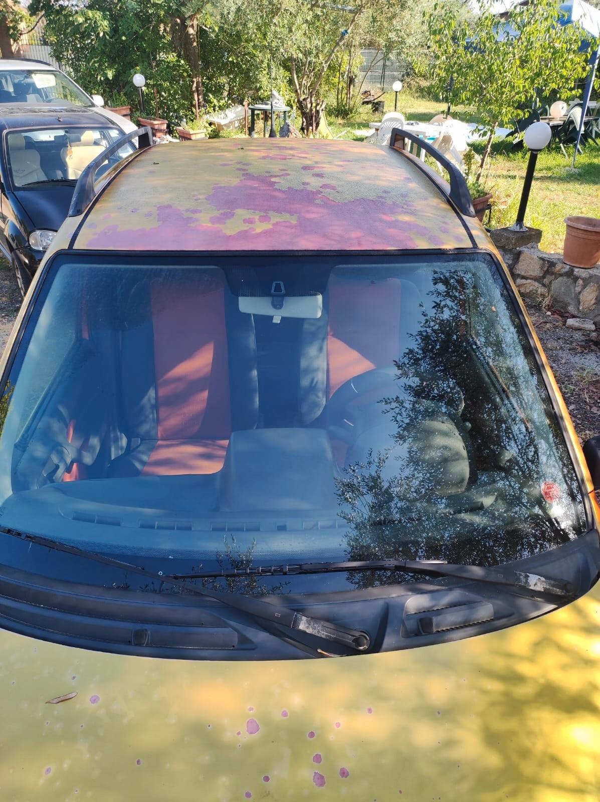 Fiat Panda 1.2 Dynamic Metano
