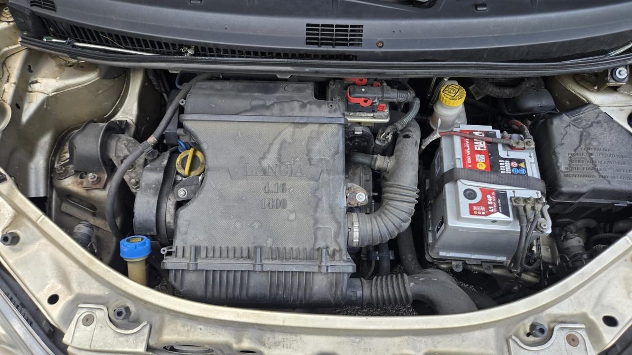 Lancia MUSA 1.4 16V Platino Plus 290000km