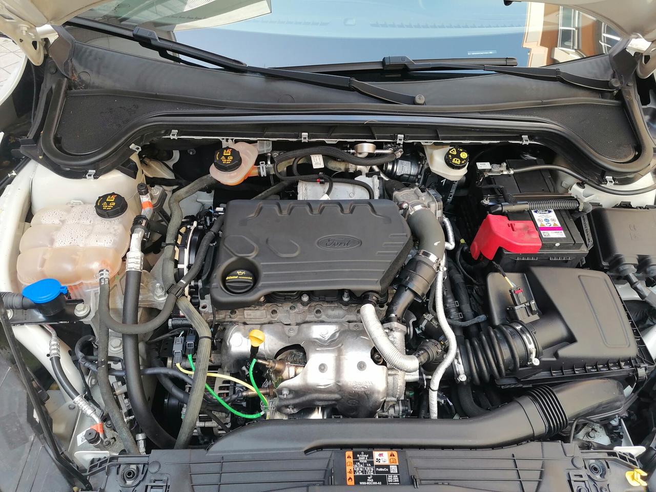 Ford Focus 1.5 EcoBlue 120 CV ACTIVE 2021