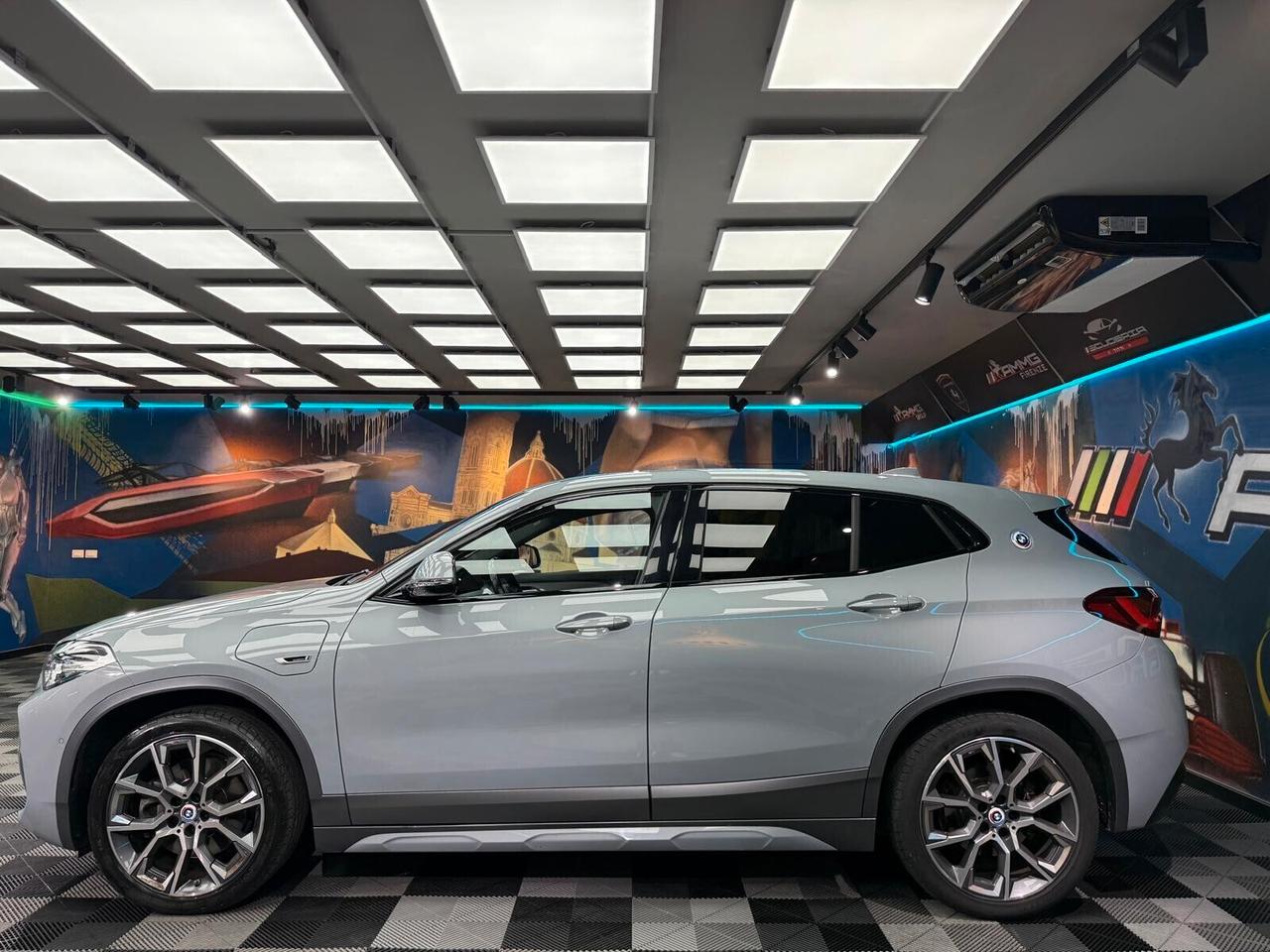 Bmw X2 xDrive25e Business-X (339)