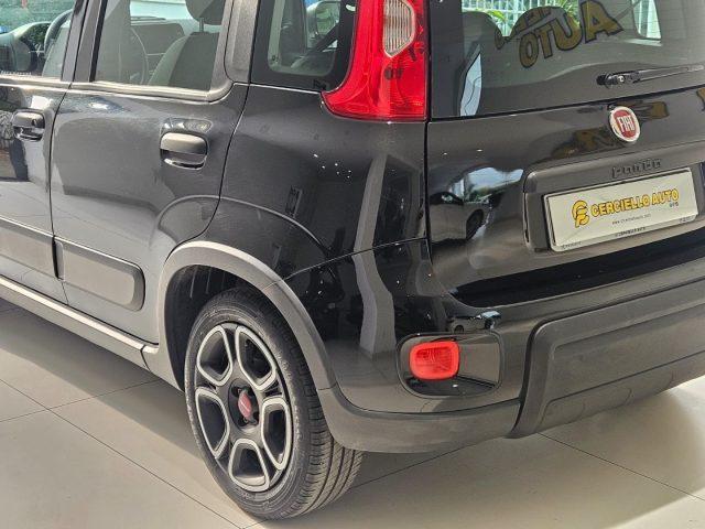 FIAT Panda 1.0 FireFly S&S Hybrid City Life da ?129,00 mensil