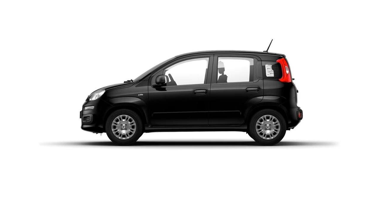 FIAT Pandina Pandina 1.0 FireFly 65 CV Hybrid Icon