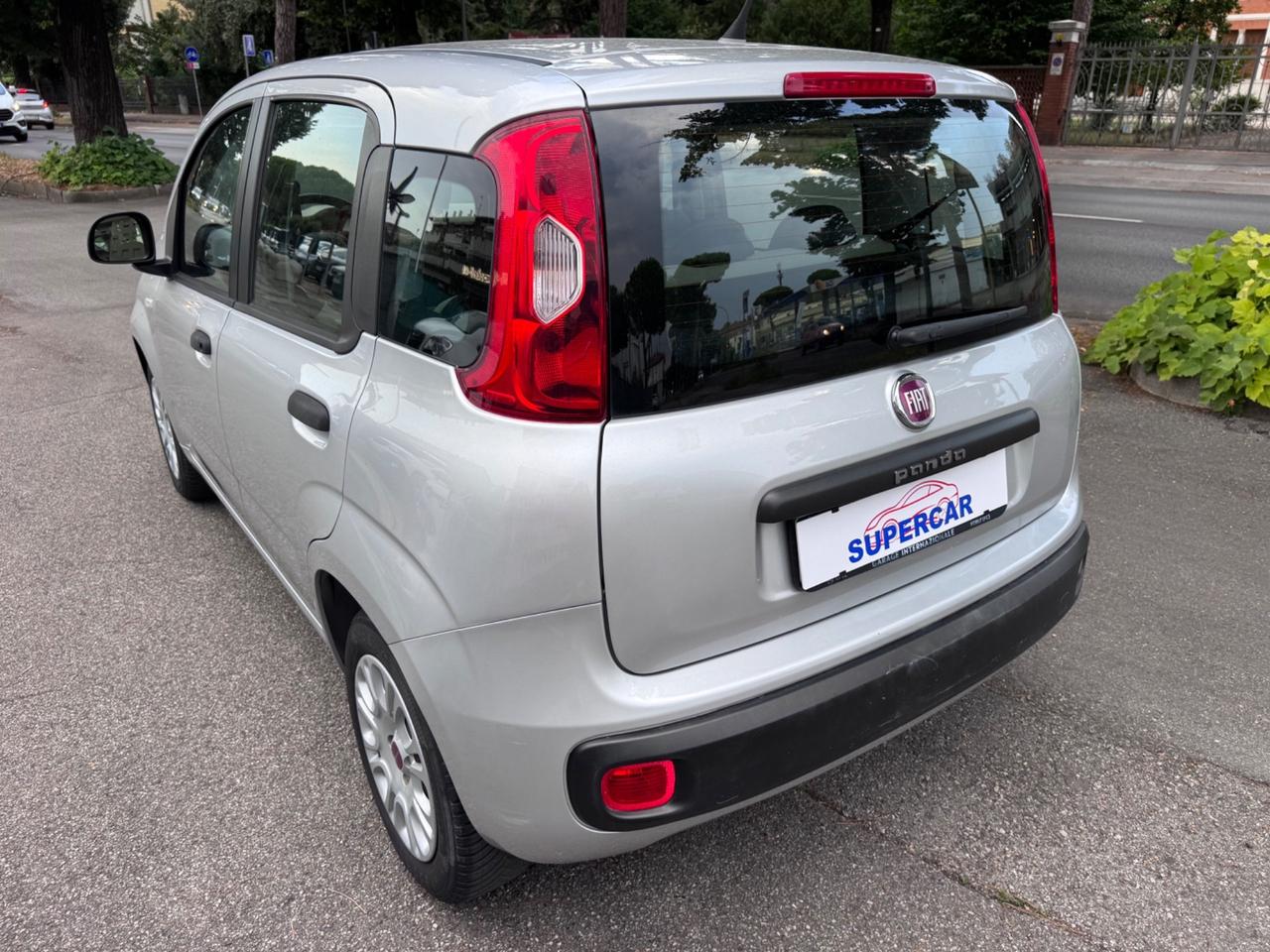 Fiat Panda 1.2 Lounge neopaten garanzia 12 mesi