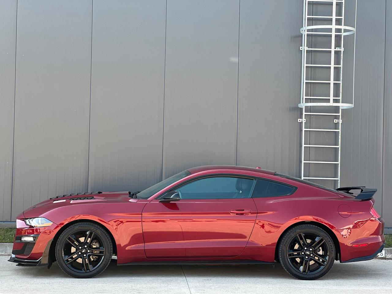 Ford Mustang Fastback 2.3 EcoBoost Premium aut. Shelby GT500 Look