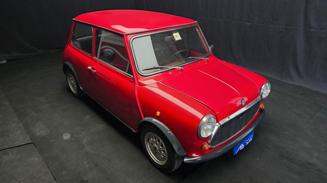 Mini 1000 HLE 1.0cc