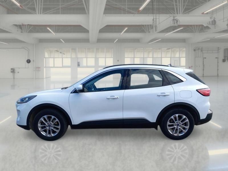 FORD KUGA 1.5 EcoBlue 120CV 2WD Titanium Business Auto
