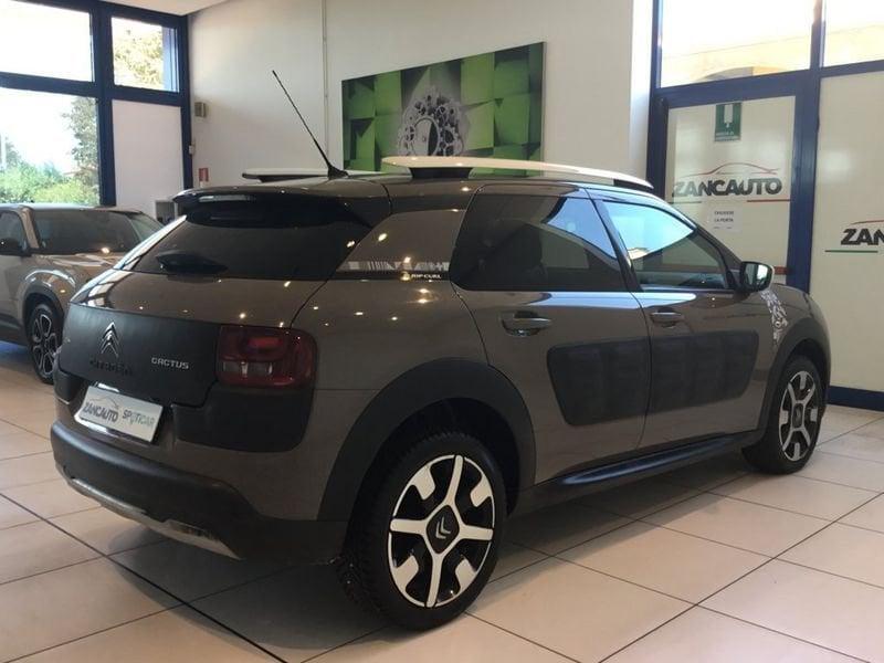 Citroën C4 Cactus BlueHDi 100 Rip Curl