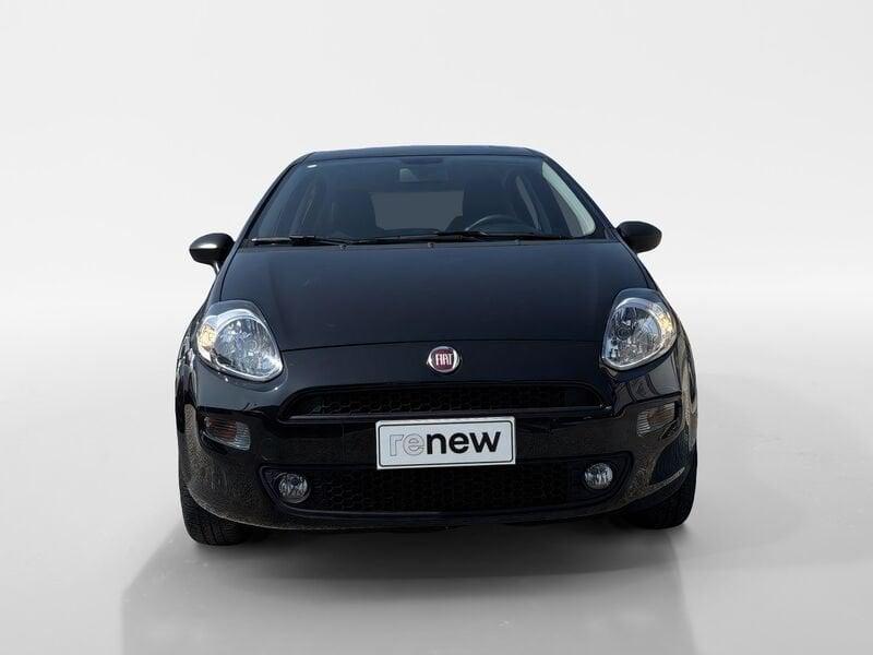 FIAT Punto Punto 1.4 8V 5 porte Easypower Street