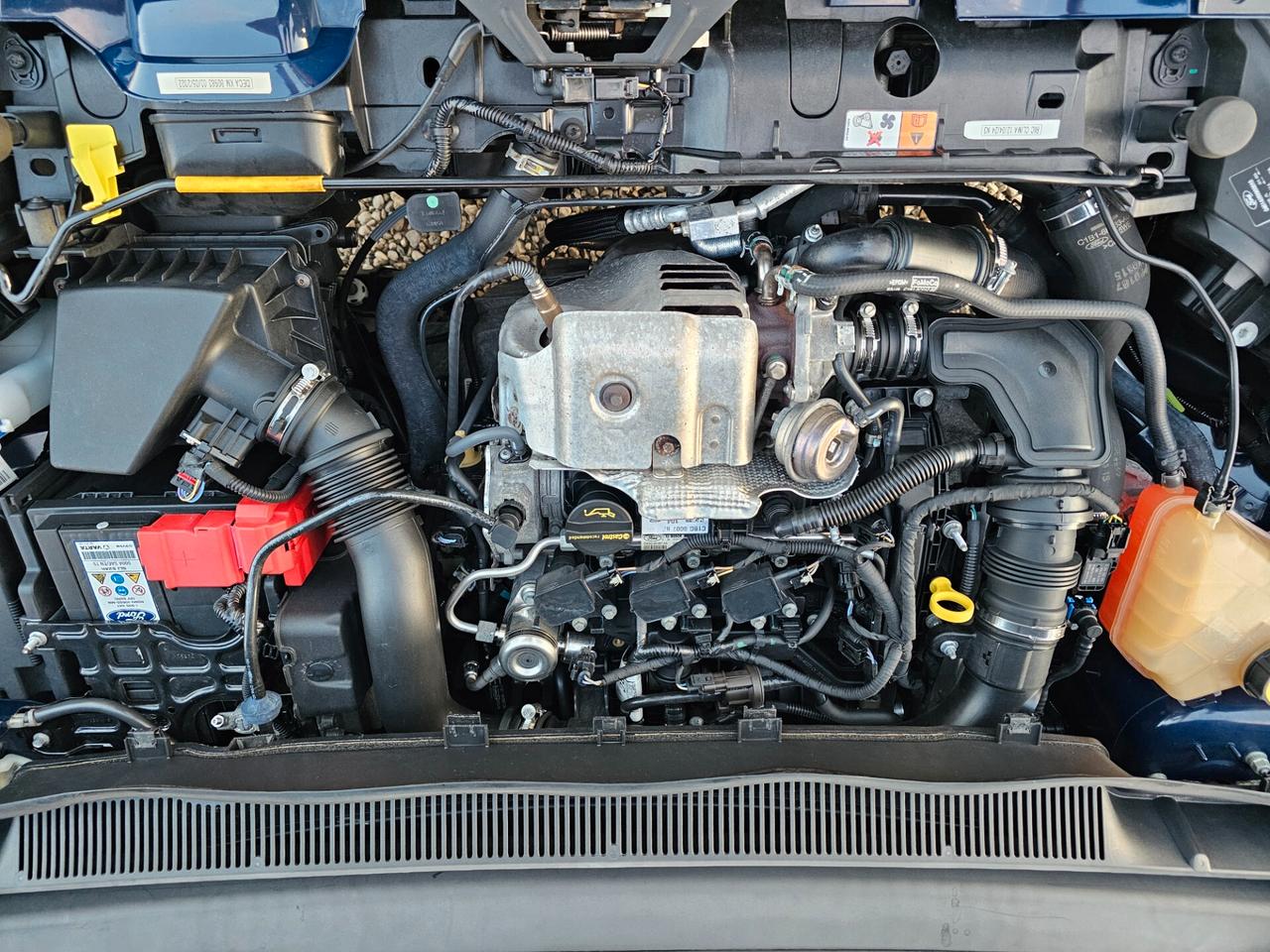 Ford B-Max 1.0 EcoBoost 100 CV