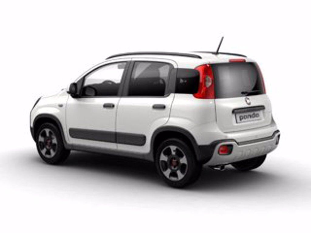 FIAT Panda 1.0 firefly hybrid s&s 70cv 5p.ti del 2024