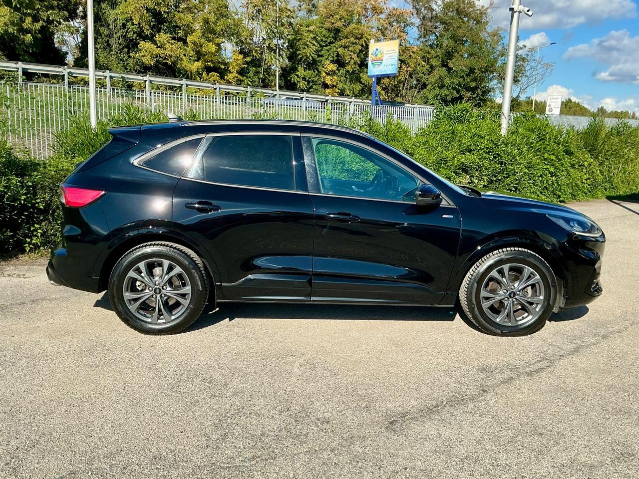 Ford Kuga 2.0 EcoBlue TDCi 120 CV Automatico AT8 ST-Line