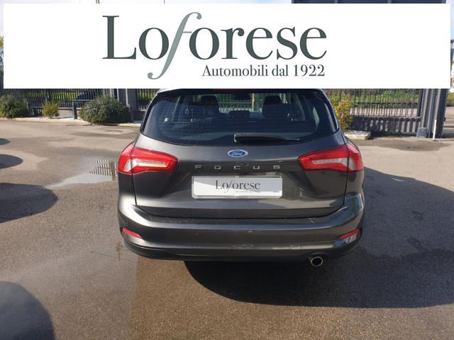 FORD Focus 1.5 EcoBlue 120 CV automatico SW Business Co-Pilot