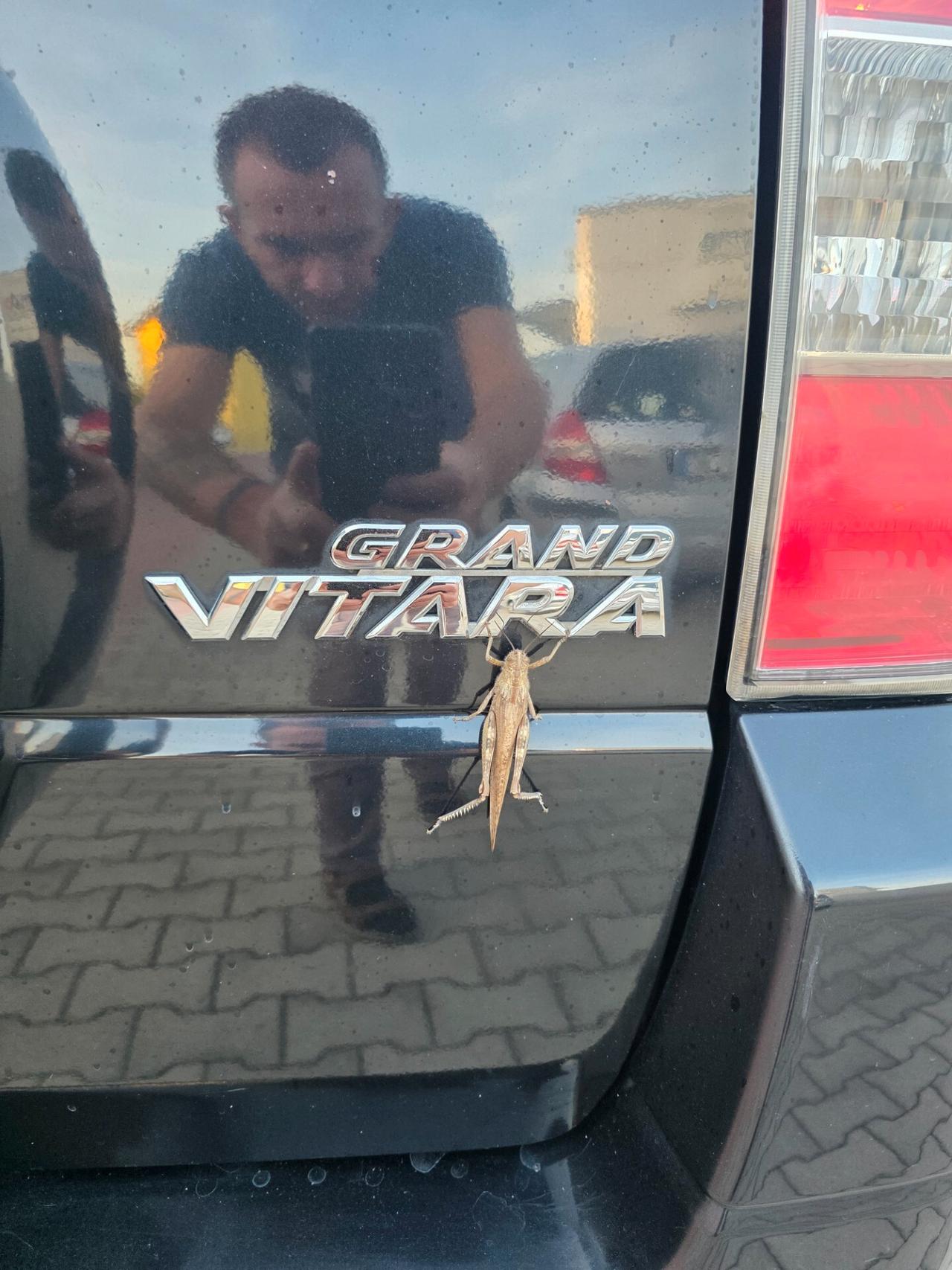 Suzuki Grand Vitara 1.6 16V 3 porte 4x4
