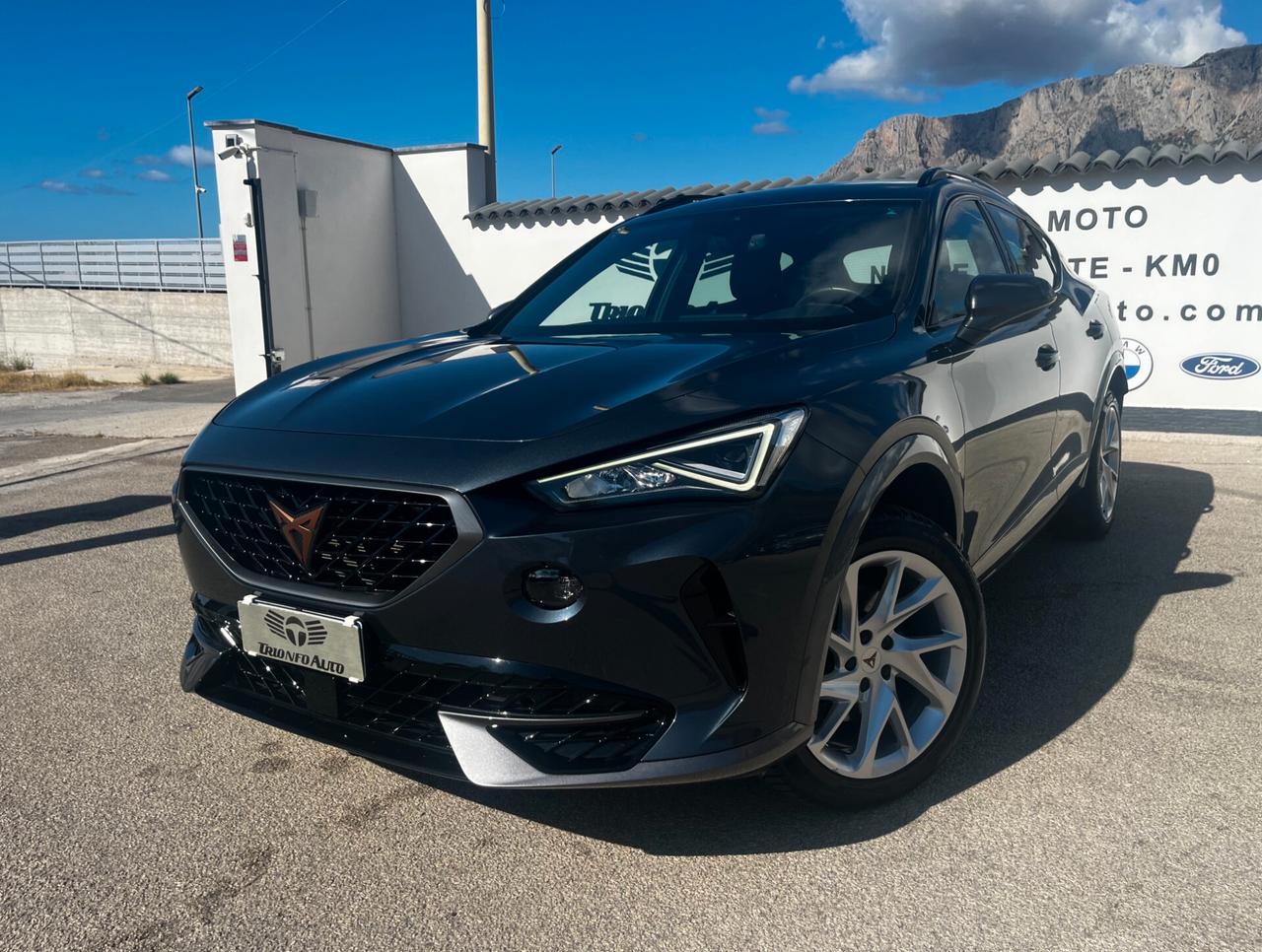 Cupra Formentor 2.0 TDI 4Drive DSG