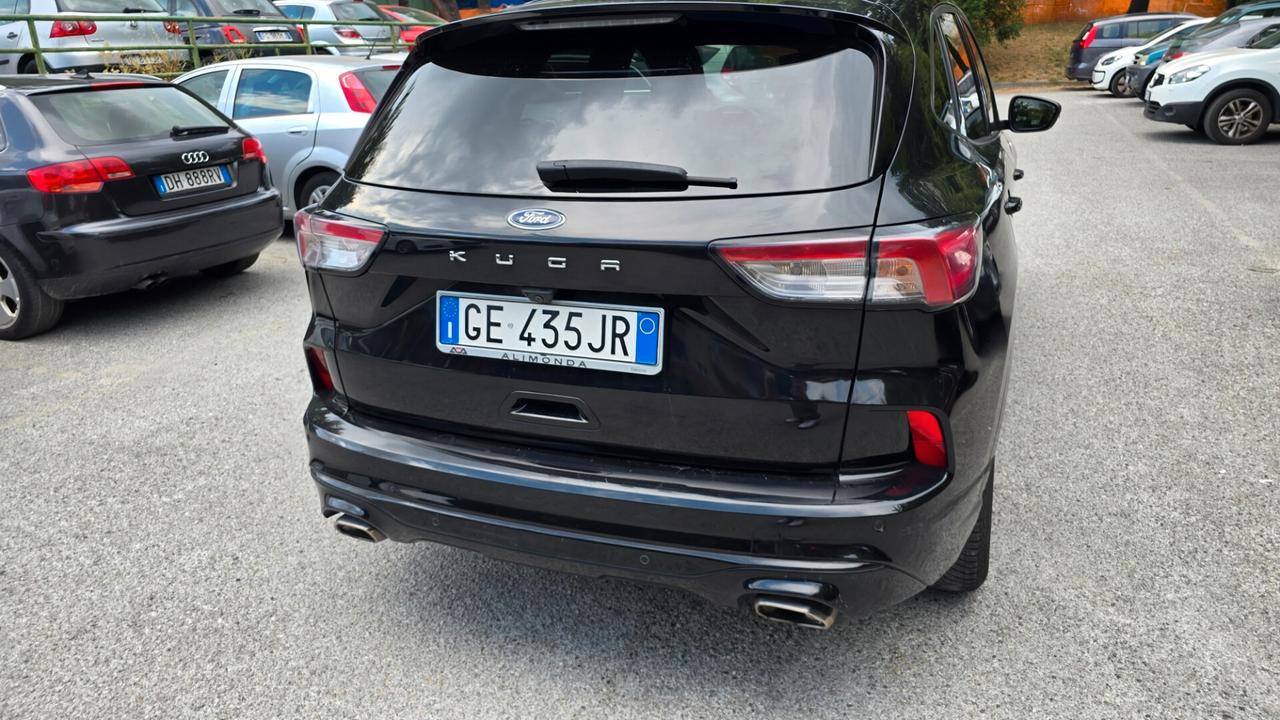 Ford Kuga 1.5 EcoBlue 120 CV 2WD ST-Line