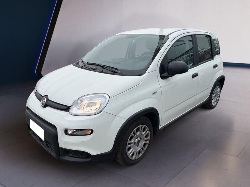 FIAT Panda My23 1.0 70cv Hybrid Panda