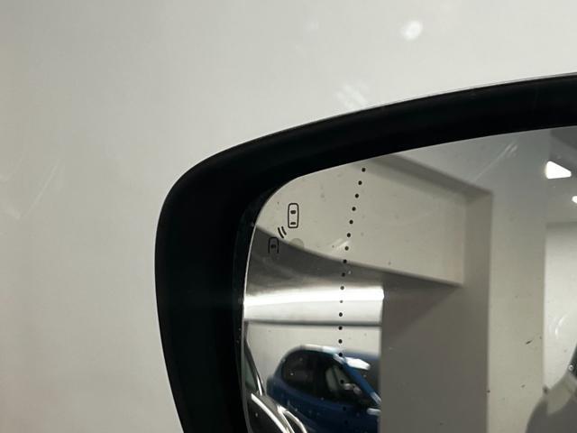 RENAULT Espace dCi 160CV EDC Energy 4Control / 7 POSTI