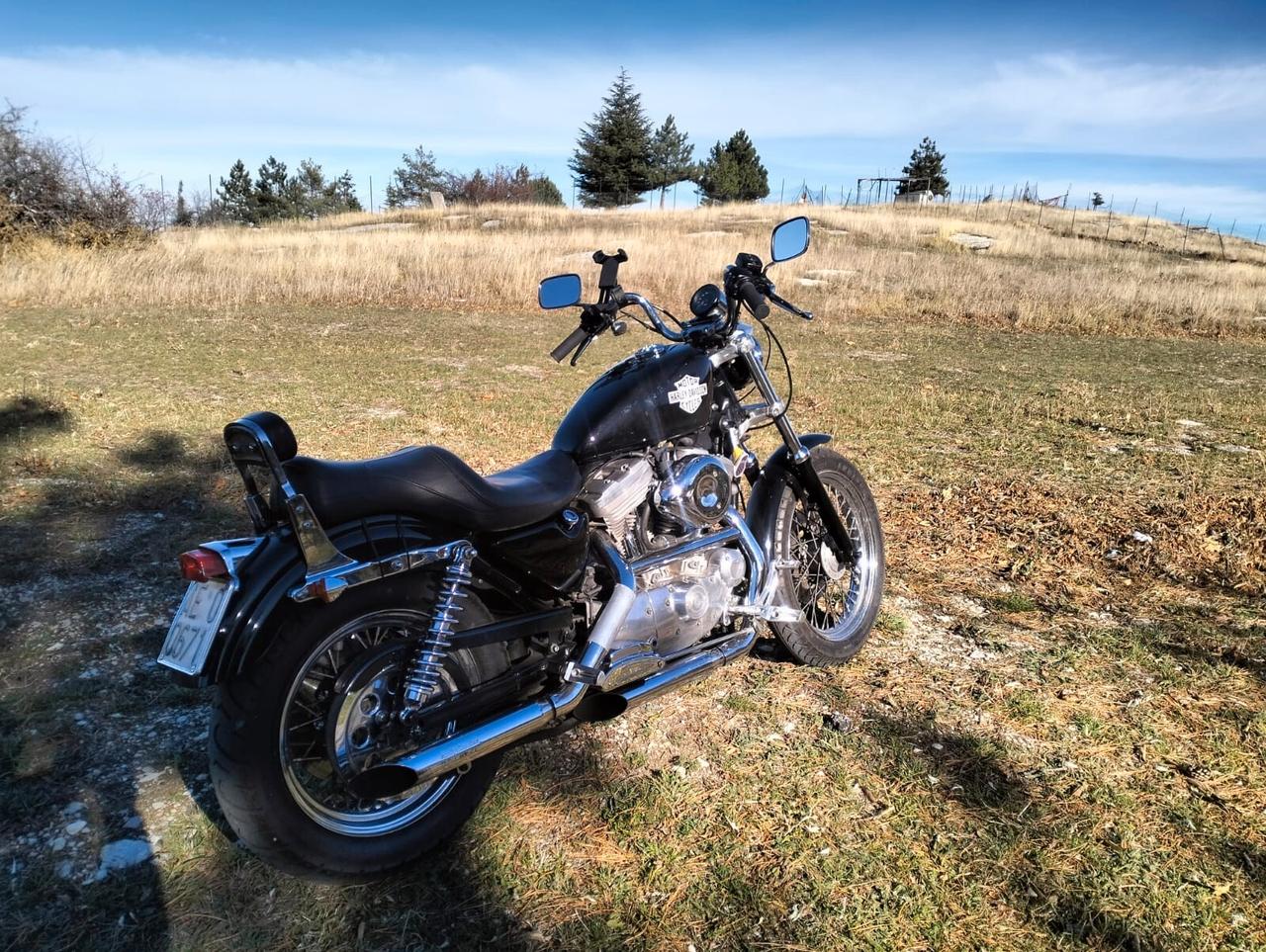 Harley-davidson 883 Sportster - SOLO 9600 KM originali