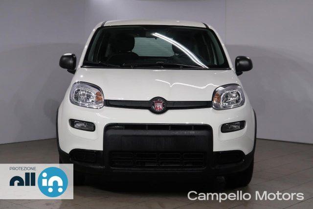 FIAT Panda Panda 1.0 70cv Hybrid Panda My23