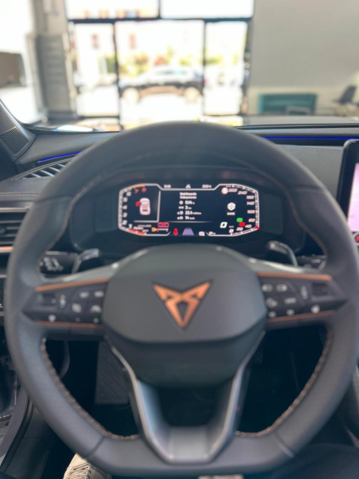 Cupra Formentor 2.0 TSI DSG VZ