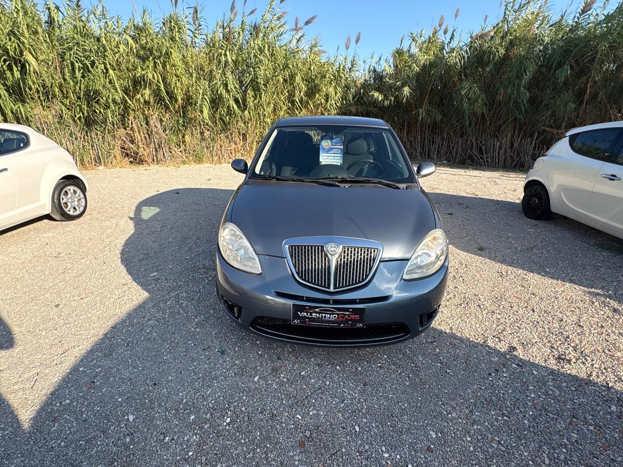 Lancia Ypsilon 1.3 MJT 75 CV Platino