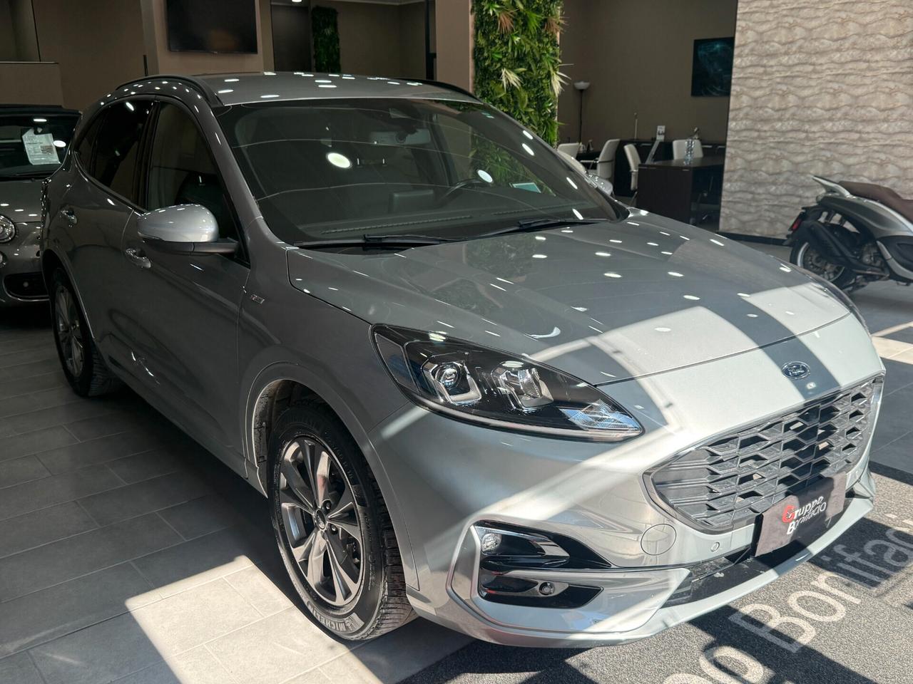Ford Kuga 1.5 EcoBlue 120 CV aut. 2WD ST-Line