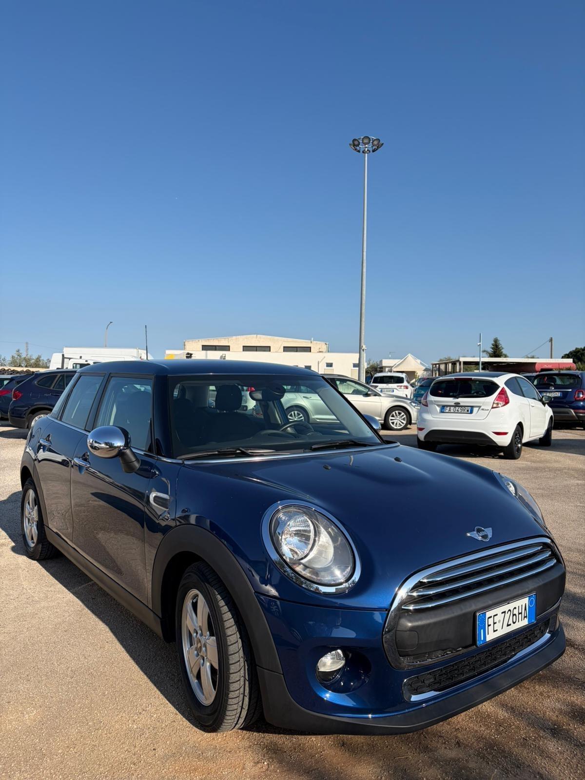 Mini 1.5 One D Hype