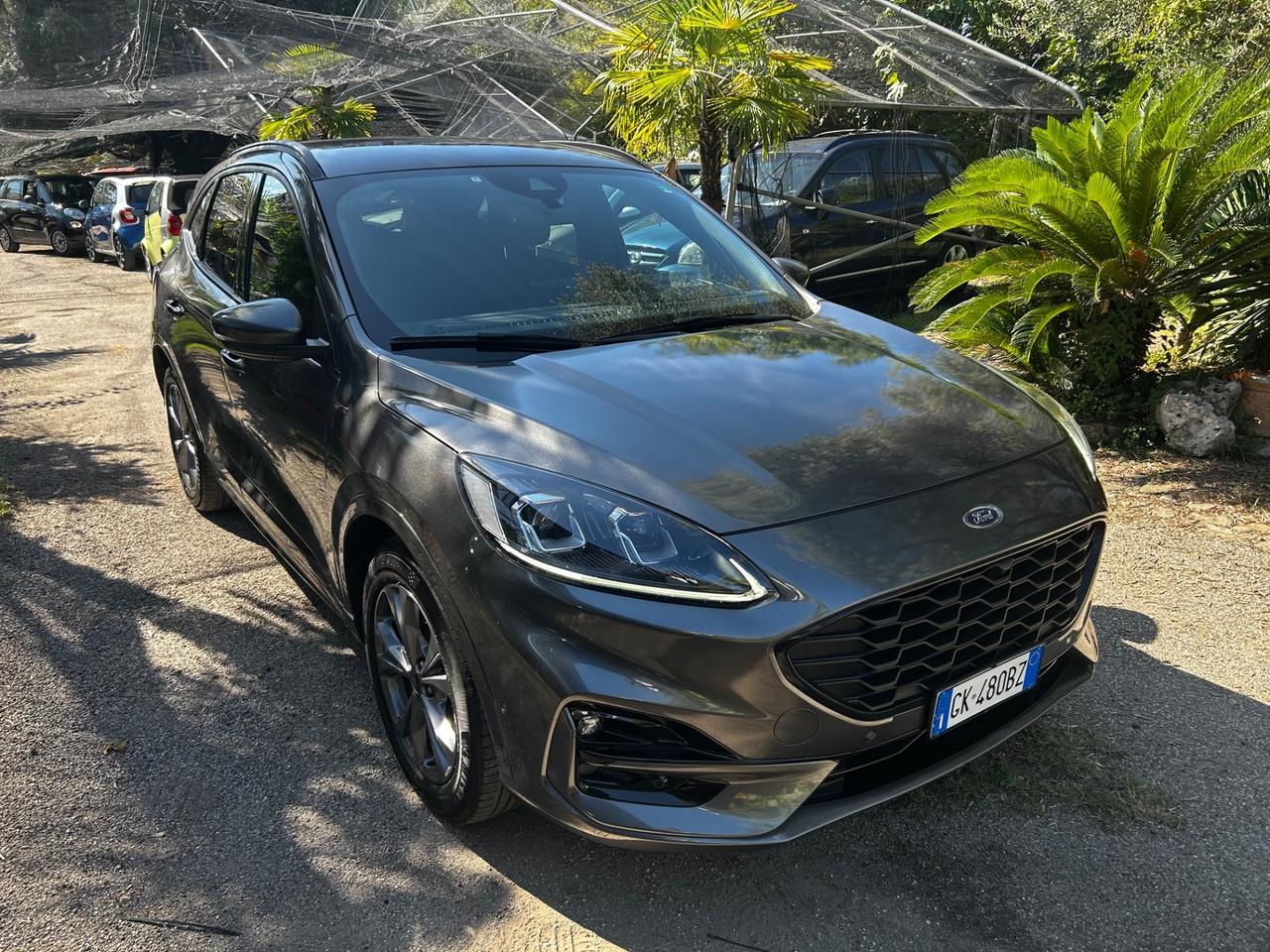 Ford Kuga 1.5 EcoBlue 120 CV aut. 2WD ST-Line