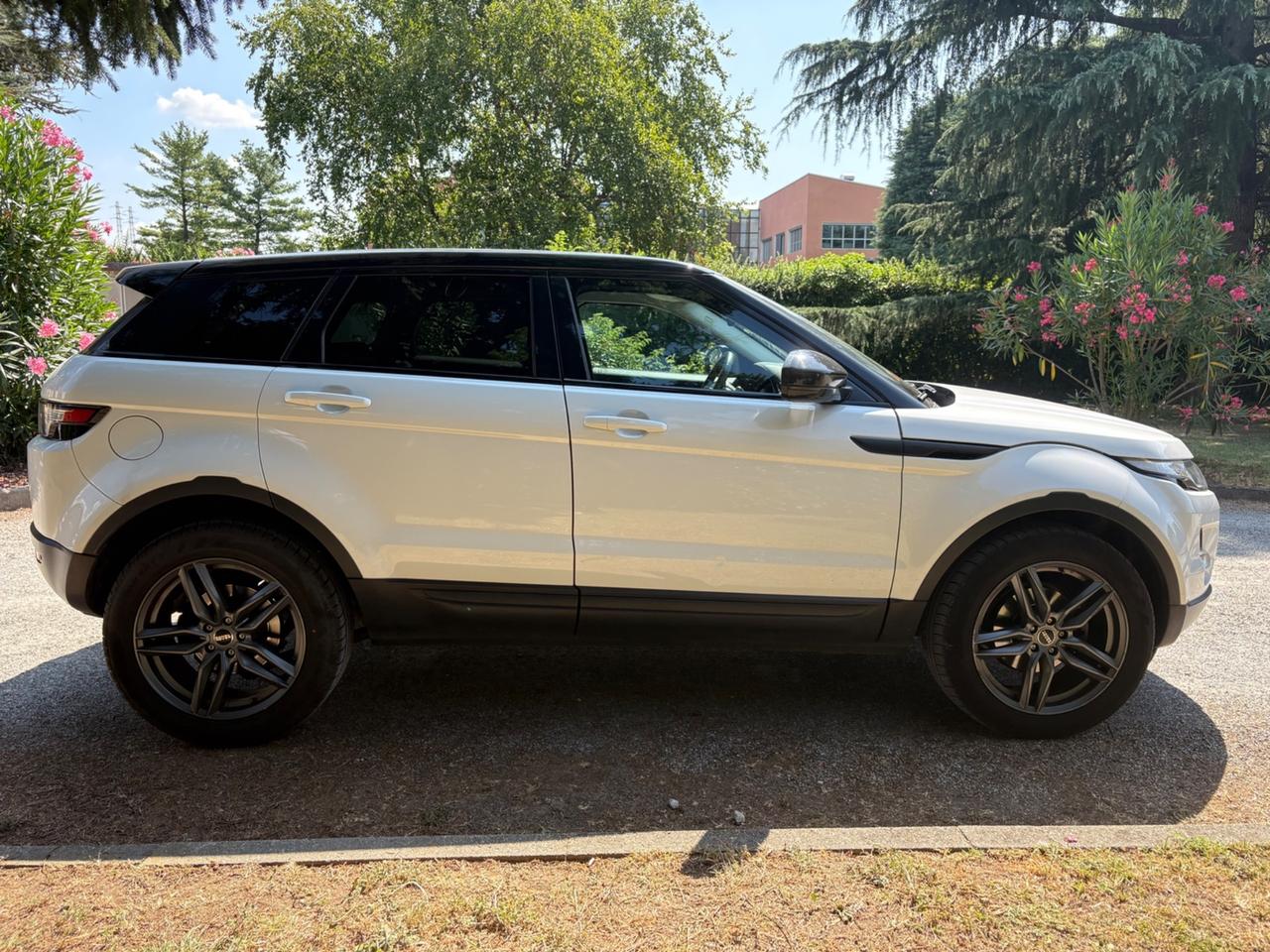 Range Rover Evoque 5p 2.2 td4 Pure Tech Pack 150cv