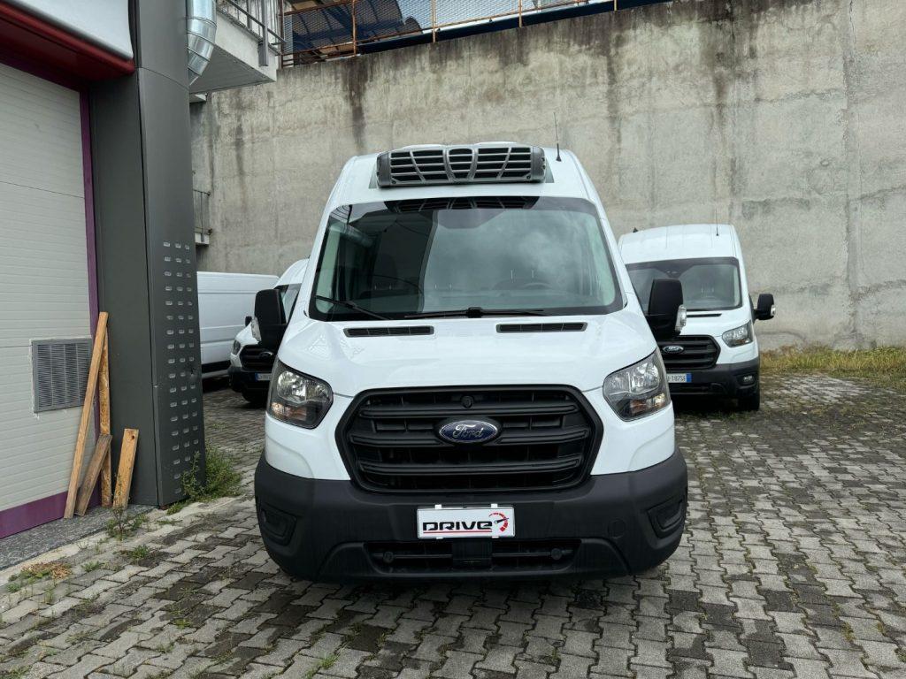 FORD Transit 350 2.0TDCi EcoBlue 170CV FRIGO -20