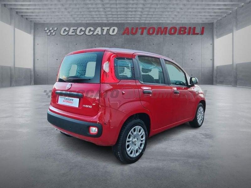 FIAT Panda Panda 1.0 70cv Hybrid Icon
